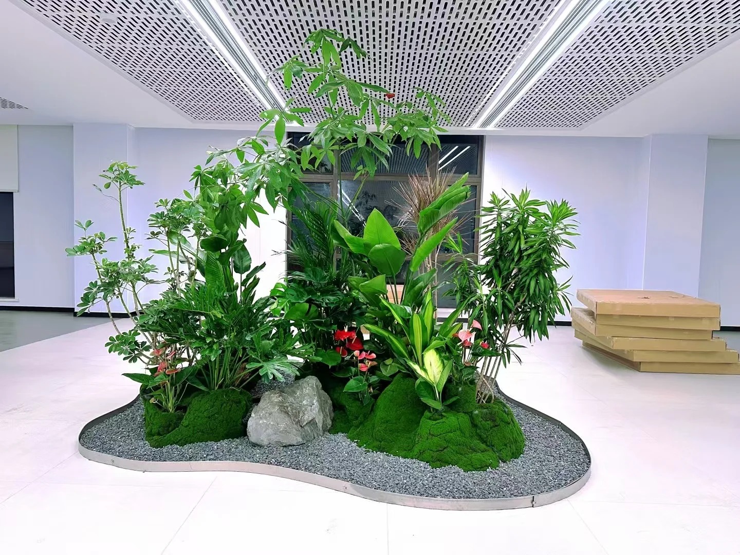 余姚植物出租哪家强?服务好的这家别错过!